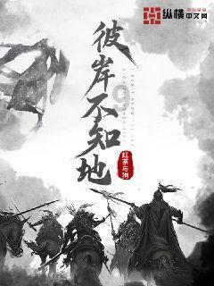 流星蝴蝶剑